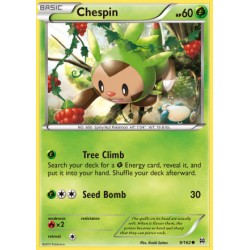 Chespin (common)