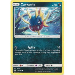Carvanha - Pokemon Sun &...
