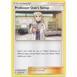 Professor Oak's Setup -...